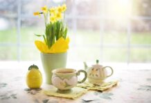 Kiedy obcinać przekwitłe żonkile?