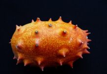 Co oznacza Ogórek na choince?