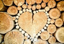 Jaka piłka do drewna ręczna?