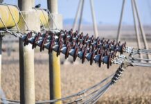 Czy Bruzdować do kabli czy nie?