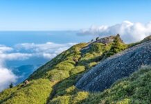 Jaka jest różnica między ostrzeganiem a Alarmowaniem?