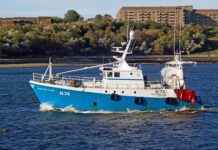 Czym wyczyścić tarcze do cięcia drewna?