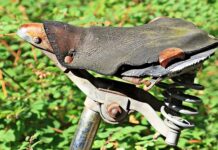 Po czym poznać zużyte pierścienie?