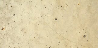 Czy tarczą do betonu można ciąć drewno?