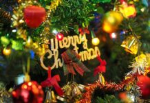 Jak Obsadzić choinkę bez stojaka?