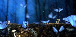 Jak ciąć twarde drewno?