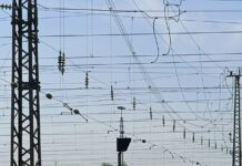 Co to jest cięgno Nortona?