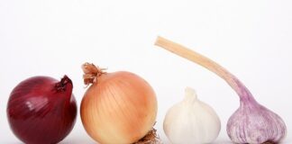 Jakie cebulki sadzimy w lutym?