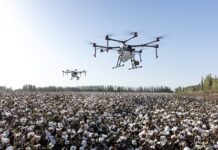 Ile zarabia pracownik ochrony Solid Security? Ile zarabia pracownik ochrony Solid Security?