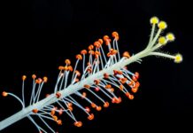 Jak pozbyć się mleczka z betonu?