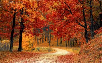 Kto pierwszy odchodzi od stołu?