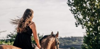 Czym grozi jazda na 5 cylindrach?