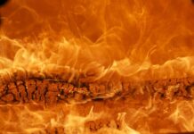 Jaka jest najpopularniejsza marka butów na świecie?