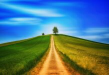 Czemu auto nie chodzi na jeden cylinder?