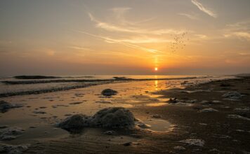 Jak pozbyć się glonów w basenie? Jak pozbyć się glonów w basenie?