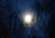 Jak obliczyć moment gnący?