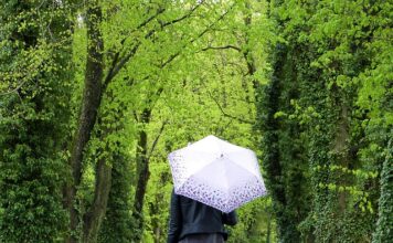 Jak znaleźć królowa w ulu? Jak znaleźć królowa w ulu?